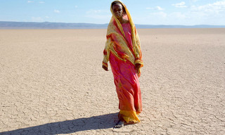 Desert Flower