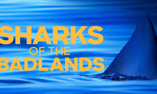 Sharks of the badlands