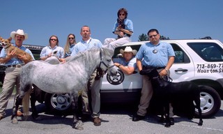 Animal Cops: Houston