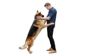 Hudson & Rex