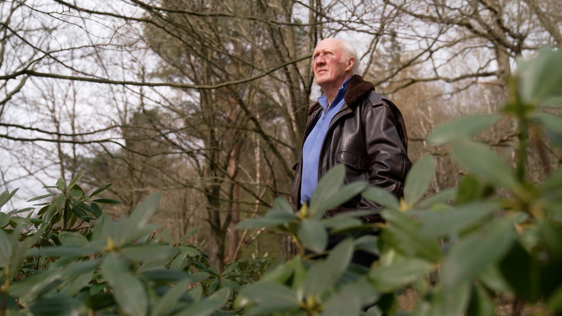 Ivo Niehe gaat in gesprek met Herman van Veen in Herman van Veen 80