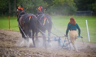 Land Girls