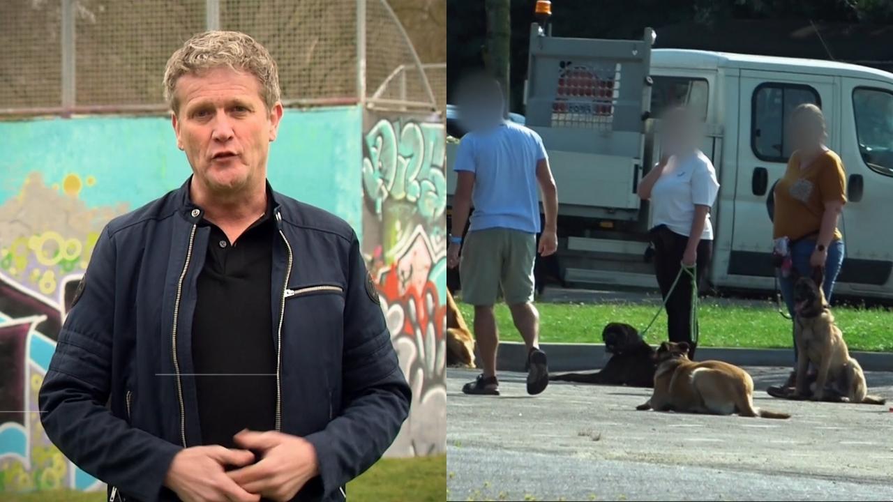 De TV van gisteren: Undercover in Nederland-kijkers woest op hondentrainer  - TVgids.nl