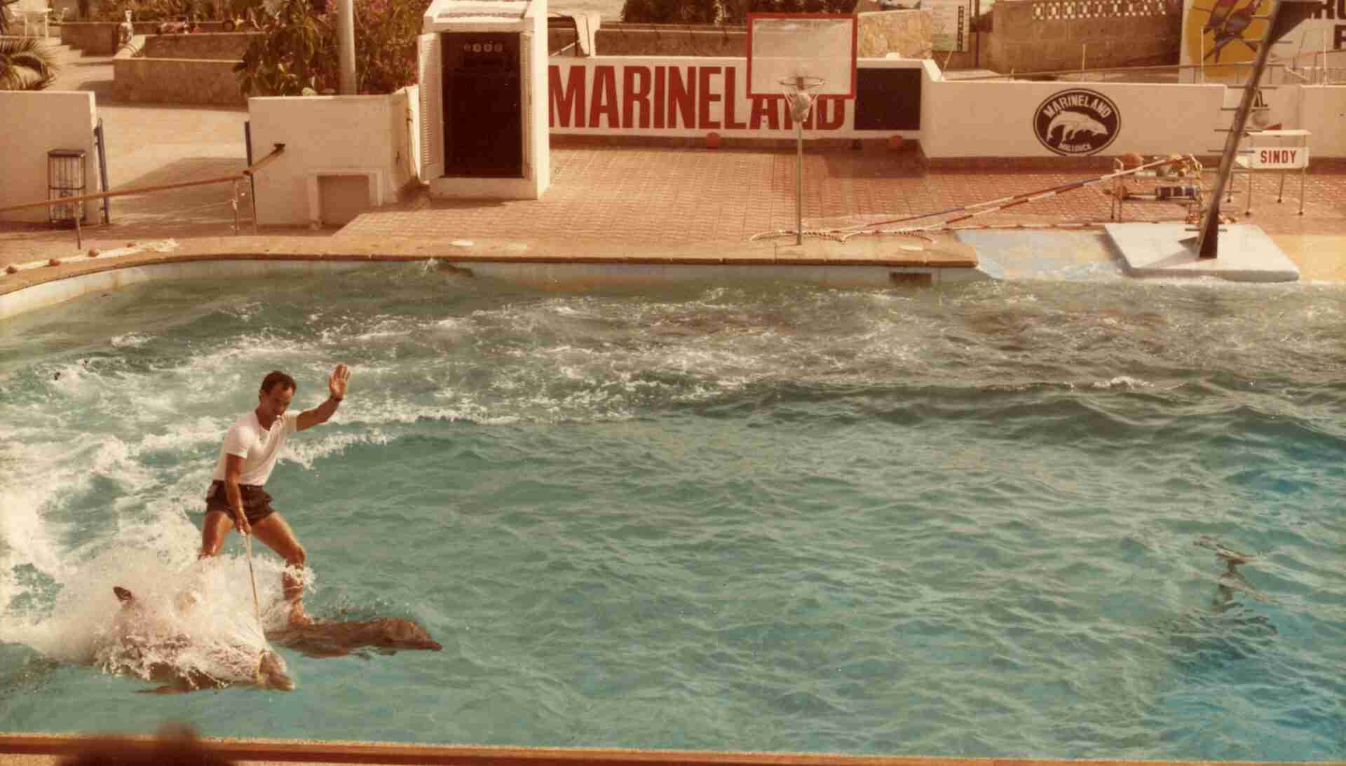 Schokkende documentaire over Spaanse dolfijnentrainer op Netflix