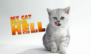 My cat from hell