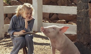 Charlotte's Web