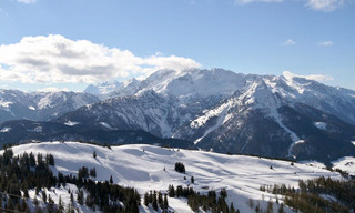 Habsburg und die Alpen