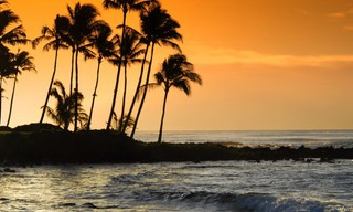 Hawaii life
