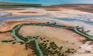 Ningaloo: het oceaanwonder van Australië