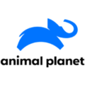 logo Animal Planet