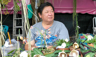 Geo Reportage: Bangkok - Chatuchak, der Riesenmarkt