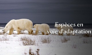Tierische (R)Evolution