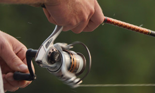 Vissen: Fish-o-mania