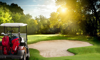 Golf: FedEx St. Jude Championship