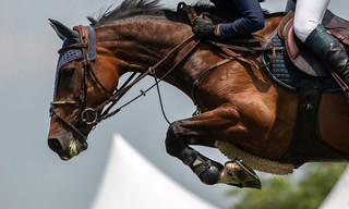 Paardensport: FEI Wereldbeker Springen Williamsburg