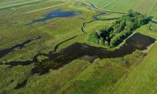Vroege vogels presenteert