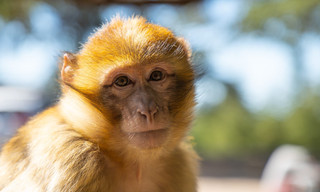 Africa's Hidden Wonders