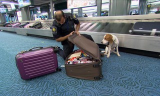 Border security Canada