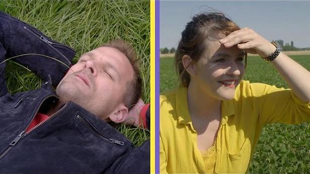 Vega versus vlees in De vergelijkers