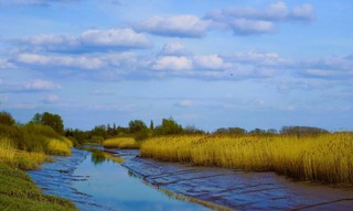 Dwars door de Delta