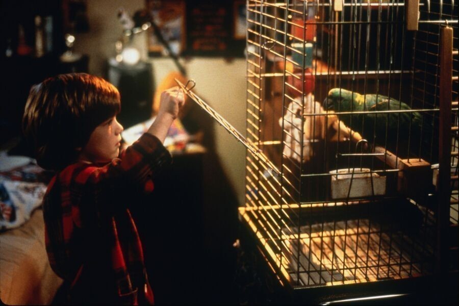 Home Alone 3