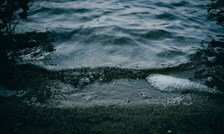 Lake Erie