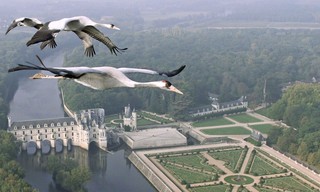 The world from above