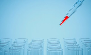 Bloodline Detectives