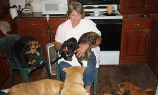 Confessions: Animal Hoarding