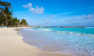 Ex on the Beach: Double Dutch