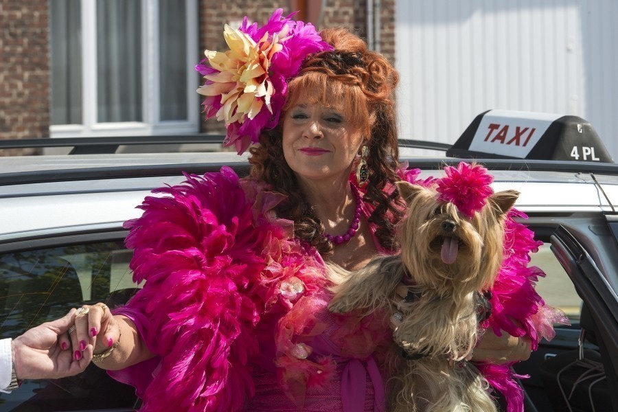 F.C. De Kampioenen: Kampioen zijn blijft plezant