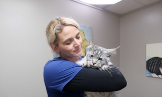 Heartland Docs, DVM: Compilation