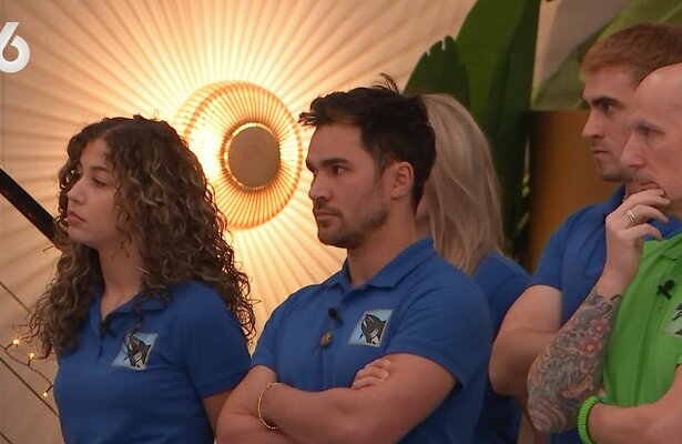 De Haaien in De Bondgenoten 2023