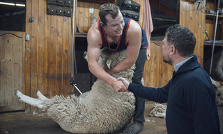 Keuringsdienst van waarde