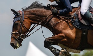 Longines FEI Jumping World Cup Western Europe