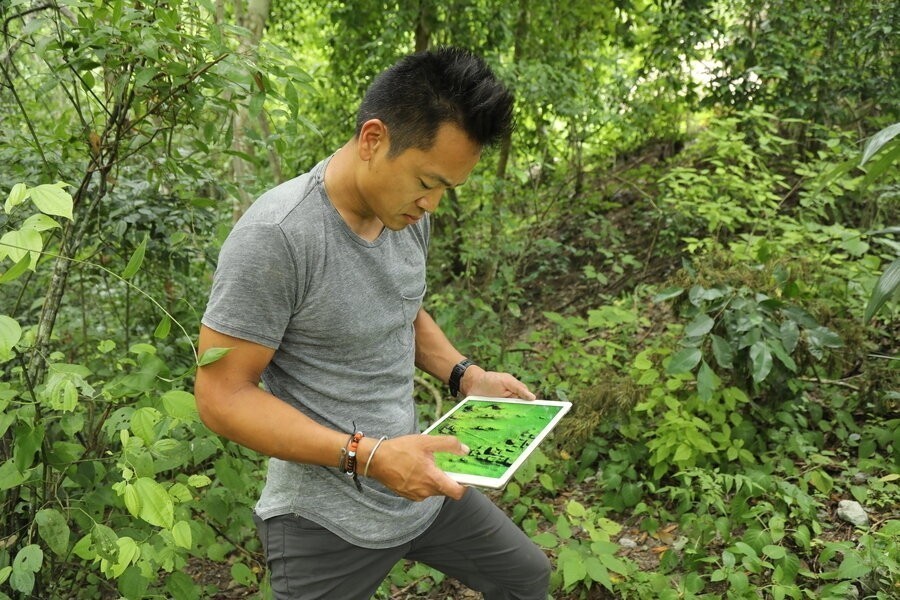 Lost treasures of the Maya