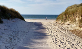 Nordseereport Special