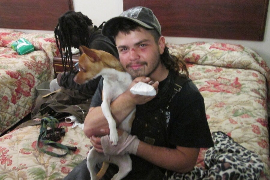 Pit bulls and parolees