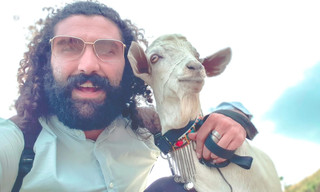 Travel with a goat