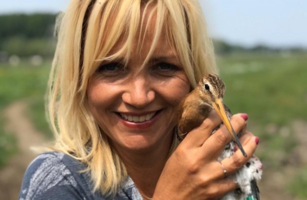 De dieptepunten op televisie van 2019