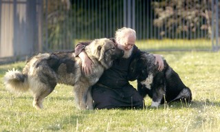 360° Reportage: Georgien - Die Schäferhunde der Mönche