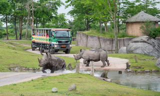 90 jaar Zoo in Emmen