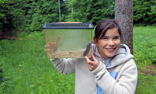 Anna und die wilden Tiere