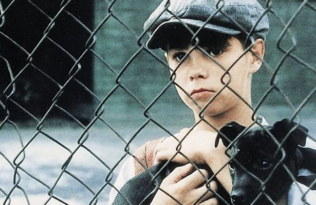 Danny de Munk is een straatschoffie om van te houden