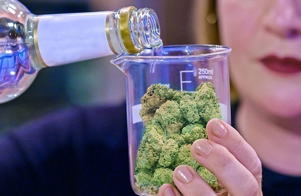 Cooked with cannabis