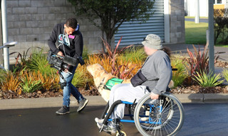 Dog squad puppy school