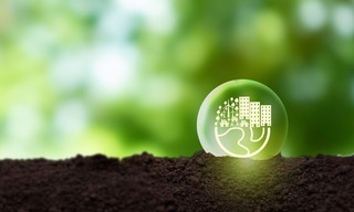 earthrise: Systems Change