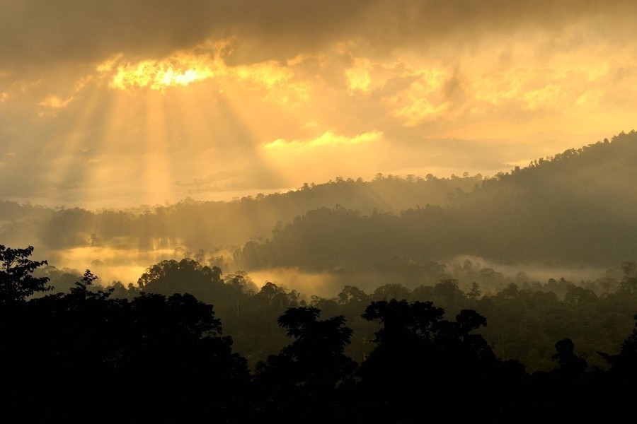Eden: paradijs op aarde