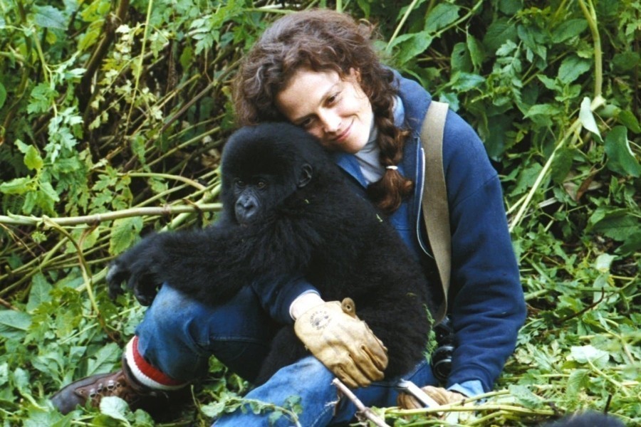 Gorillas in the Mist: The Adventure of Dian Fossey