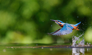 Hidden wonders of Europe